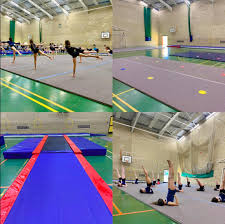 Image result for Elements Acro