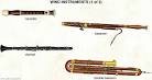  Wind instruments 