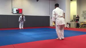 Image result for Welwyn Garden City Judo Club