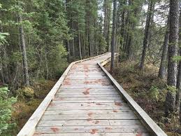 Image result for Badgercote Badminton Club