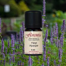 Image result for Ysop