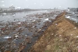 「日本語圏内検索公害」的圖片搜尋結果