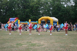 Image result for Castle Cary Cygnets Majorettes