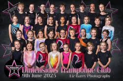 Image result for Dimensions Trampoline Club