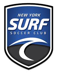 Image result for York University Surf Club