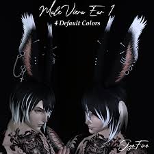 Image result for ear mod