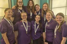 Image result for South Yorkshire Swans