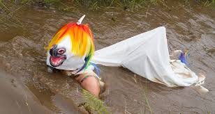 Image result for World Champion Bog Snorkelling Triathlete