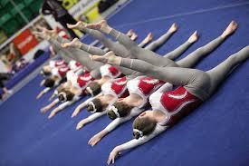 Image result for Flyin Scots Aerobic Gymnastics Club