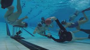 Image result for Halifax Octopush Club