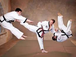 Image result for John Godwin's Penndel Martial Arts Academy