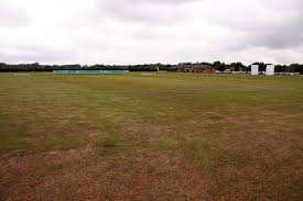 Image result for Meadows Sports Association