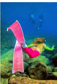 Image result for Scuba Skooling