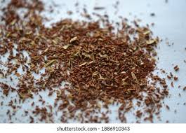 Attēlu rezultāti vaicājumam “Hypericum perforatum fruit”