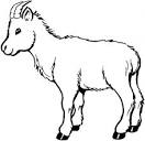 Goat coloring page