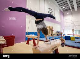 Image result for South Essex Gymnastics Club