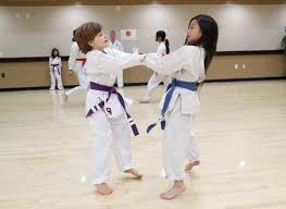 Image result for Newport Kyokushin Karate Club