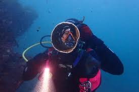 Image result for Plymouth Aquanauts