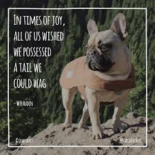 Image result for Kings Lynn RHC