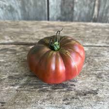 Afbeeldingsresultaat voor purple calabash tomato