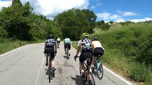 Image result for South London Triathlon Club