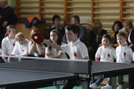 Image result for Barnet Table Tennis Centre
