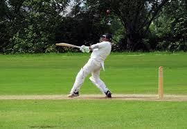Image result for Friarmere Cricket Club
