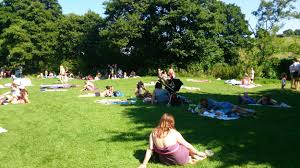 Image result for Trowbridge Swimming Club