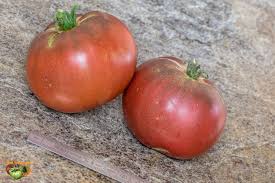 Afbeeldingsresultaat voor carbon tomato