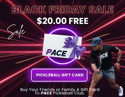 Image result for Paces Badminton Club