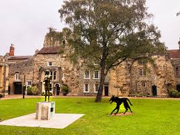 Image result for Bury St Edmund Shuttlers