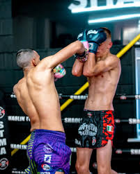 Image result for BERKSHIRE TIGERS THAI