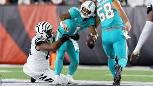 Attēlu rezultāti vaicājumam “Jalla dumosa imago”