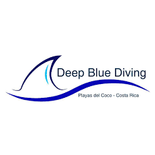 Image result for Deep Blue Diving