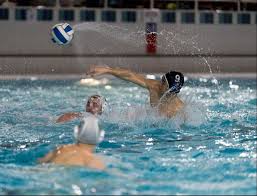 Image result for York University Swimming & Water Polo Club