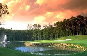 Image result for stonehaven gymnastics club