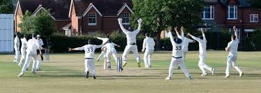 Image result for Bashley (Rydal) Cricket Club