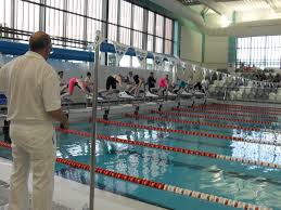 Image result for Ellesmere Port Eels Volleyball Club