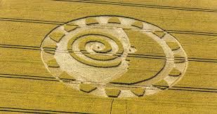 Image result for crop circle