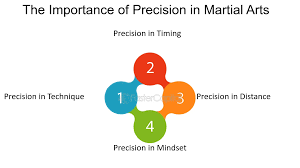 Image result for Precision Martial Arts