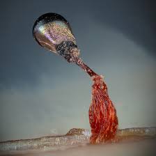 Attēlu rezultāti vaicājumam “Trichia sp.”