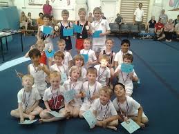 Image result for Brumby Gymnastics Club