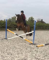 Image result for Cranleigh School Stables