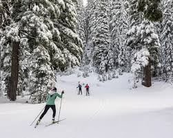 Image result for Scandinavian slope and cross country skiing