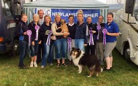 Image result for Abinger Forest Riding Club