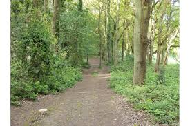 Image result for Chesham & Ley Hill Golf Club