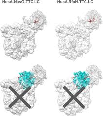 Image result for The 3E`s Ttc