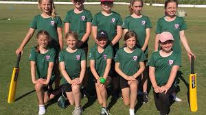 Image result for Claverham (Yatton) Cricket Club
