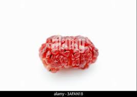 Attēlu rezultāti vaicājumam “Chenopodium foliosum fruit”