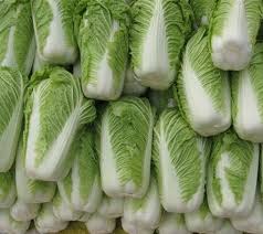 Image result for 公害SEARCH